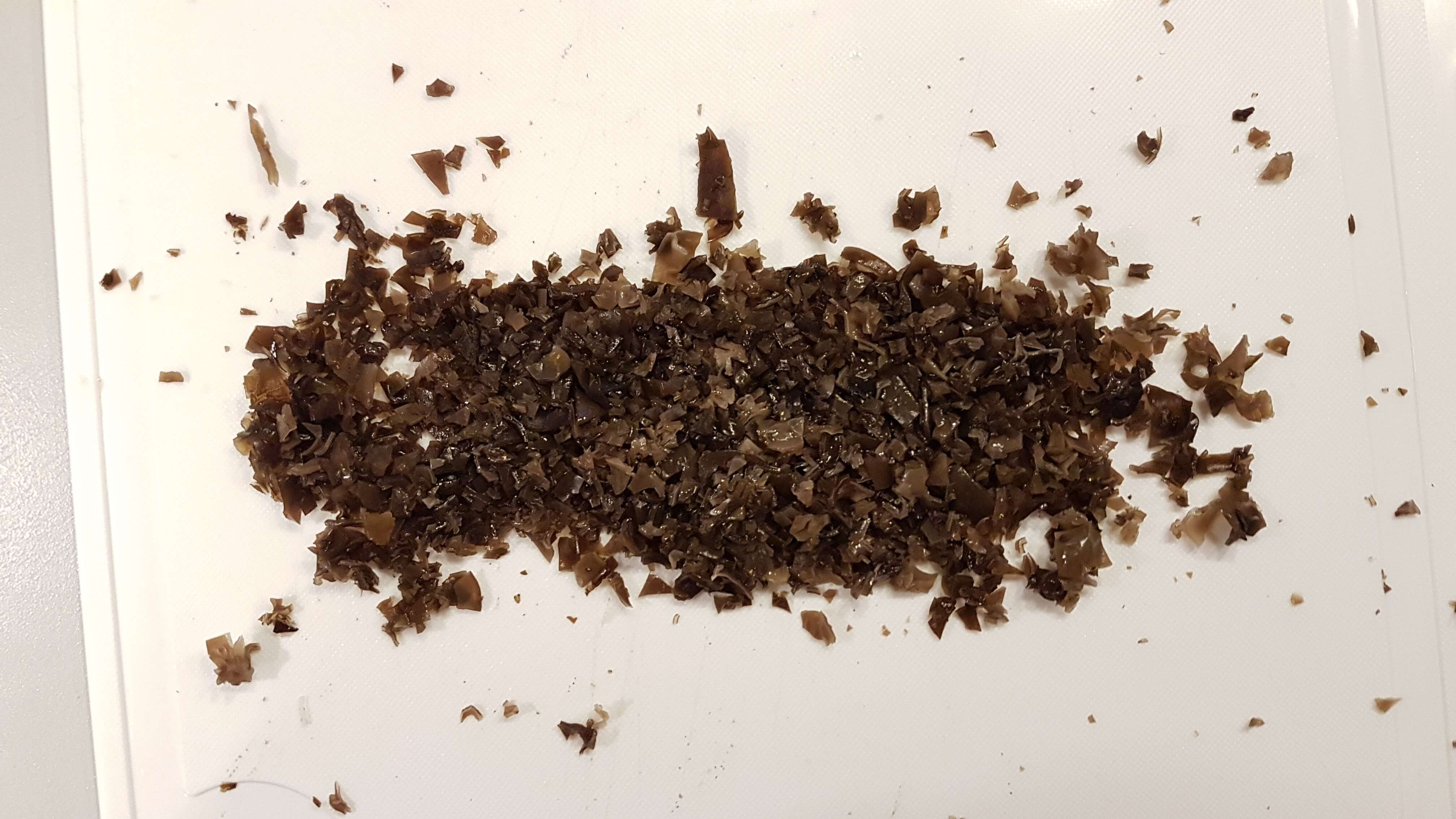 black wood ear chopped