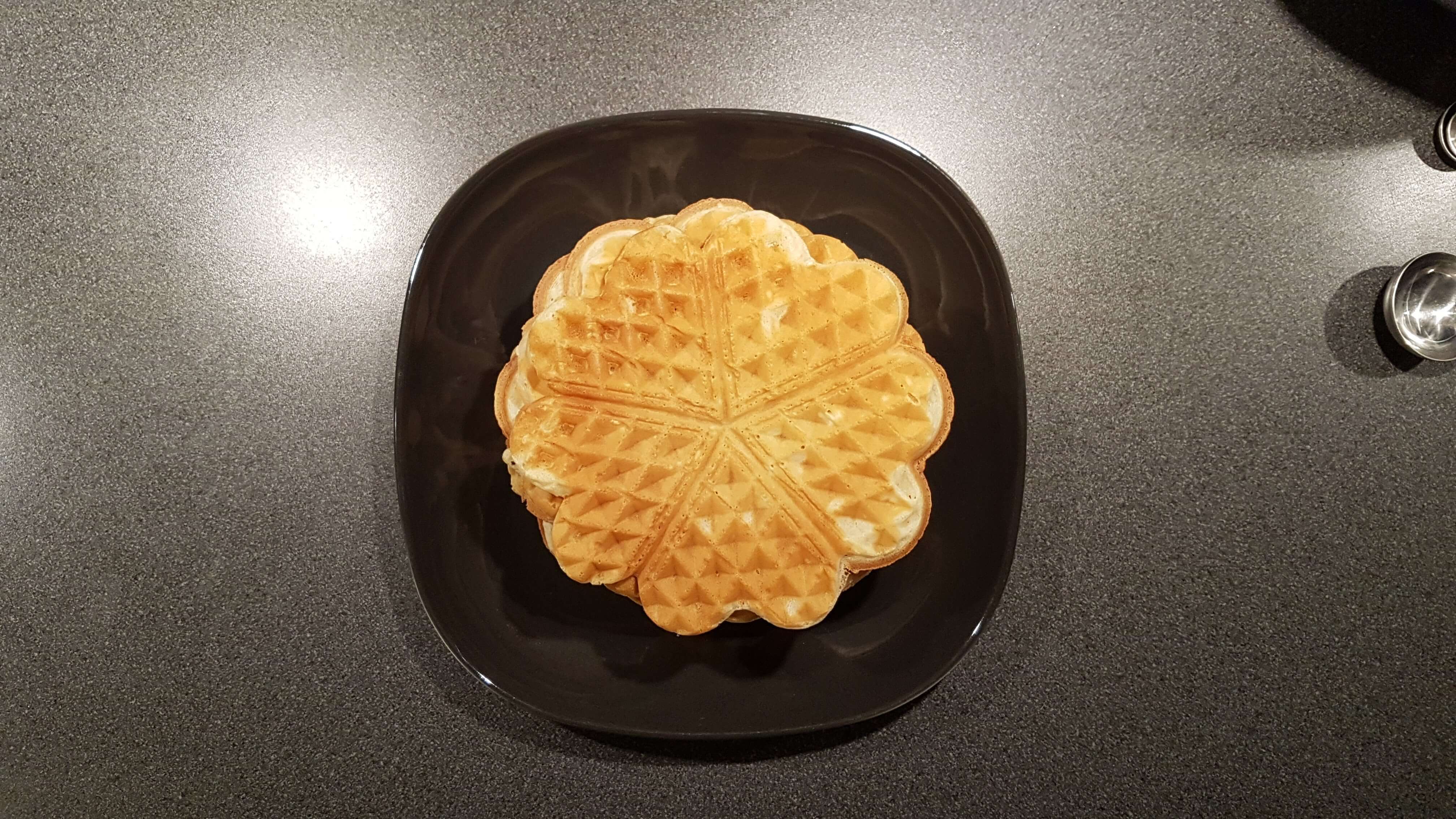 waffles bird view